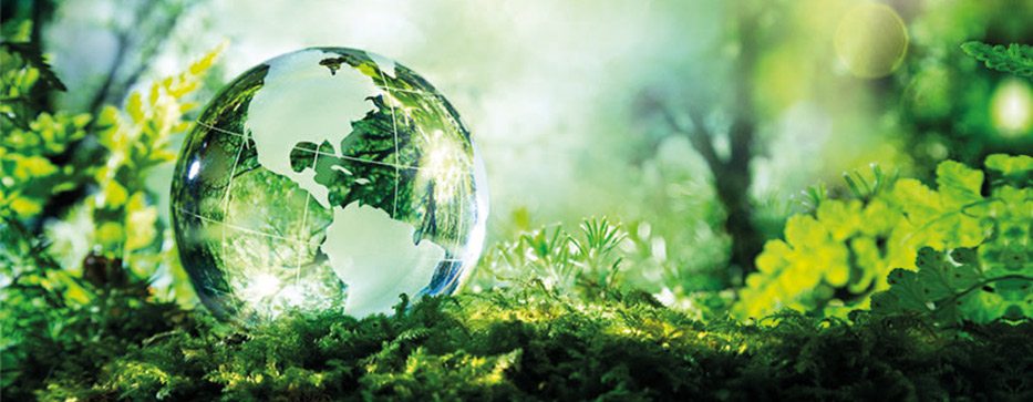 nachhaltigkeit nachhaltigkeit